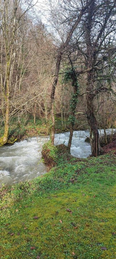 Le Clos Du Tulipier La Chapelle-du-Bard Bagian luar foto